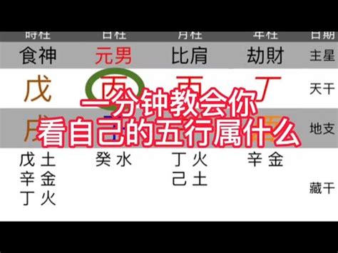 喜火土|免費生辰八字五行屬性查詢、算命、分析命盤喜用神、喜忌